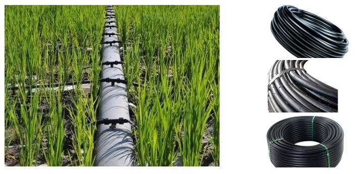 The Benefits of Choosing HDPE Pipes for Irrigation Systems