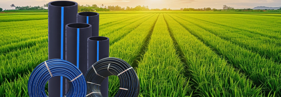 Why are HDPE pipes the Best Choice for Irrigation Projects